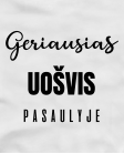 Marškinėliai Geriausias uošvis pasaulyje
